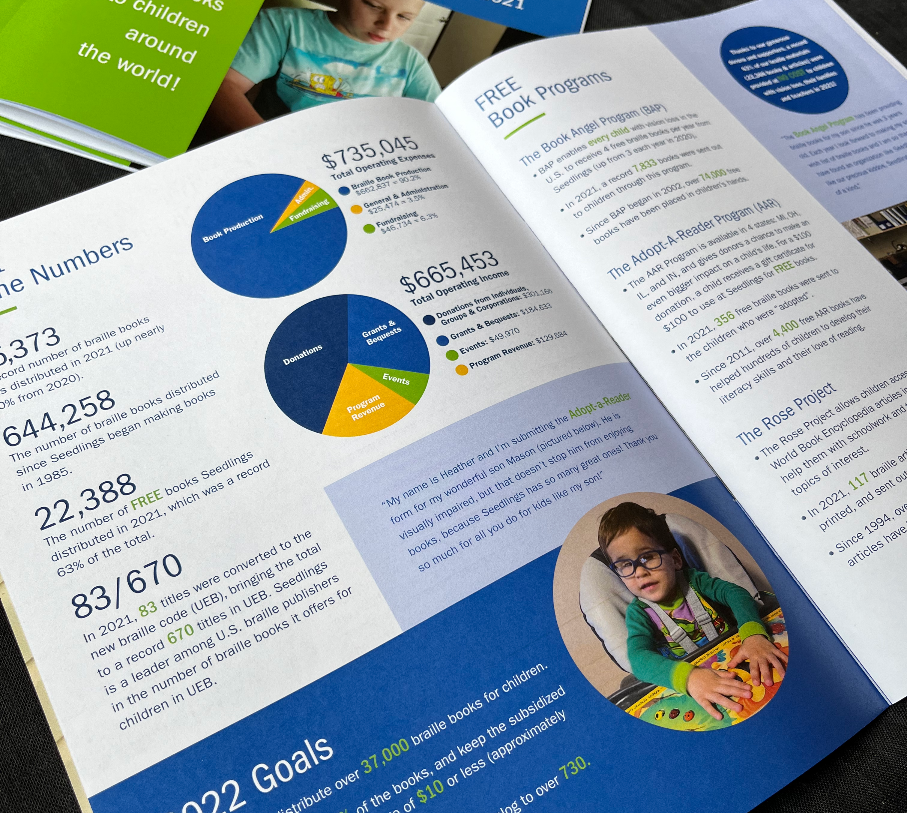 Annual Report graphic design for Seedlings Braille Books for children
