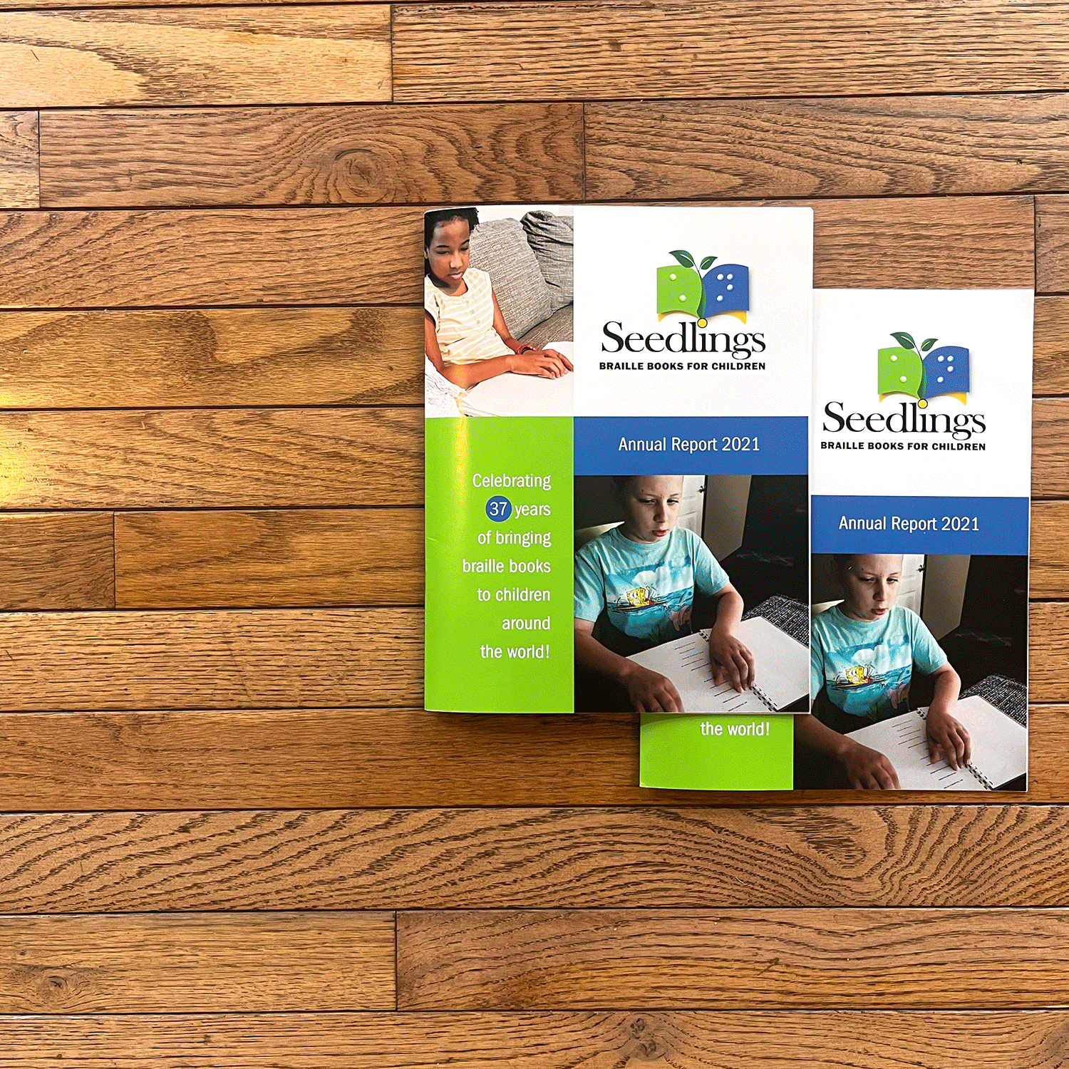Annual Report graphic design for Seedlings Braille Books for children